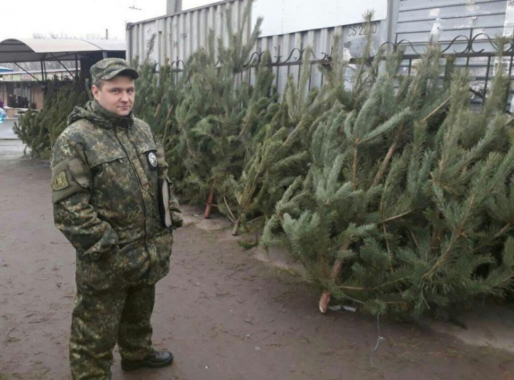 В Мариуполе перед Новым годом полицейские изымают нелегальные елки (ФОТО)