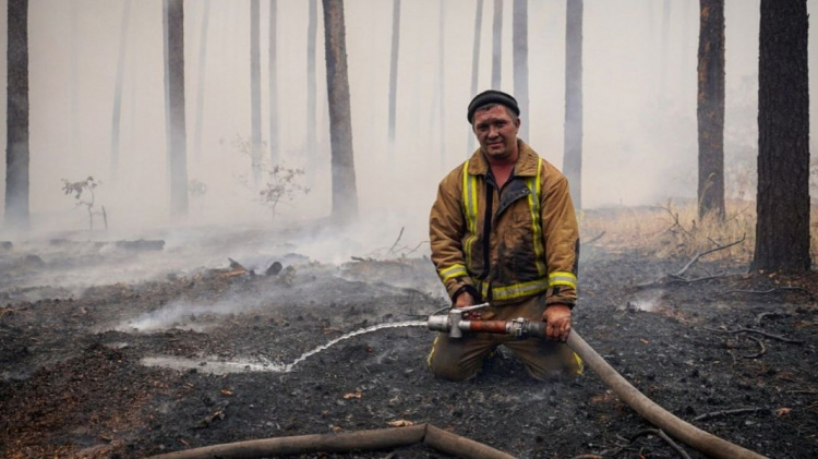 Пожары в Донбассе: потушены почти все основные очаги. Власти подсчитывают ущерб
