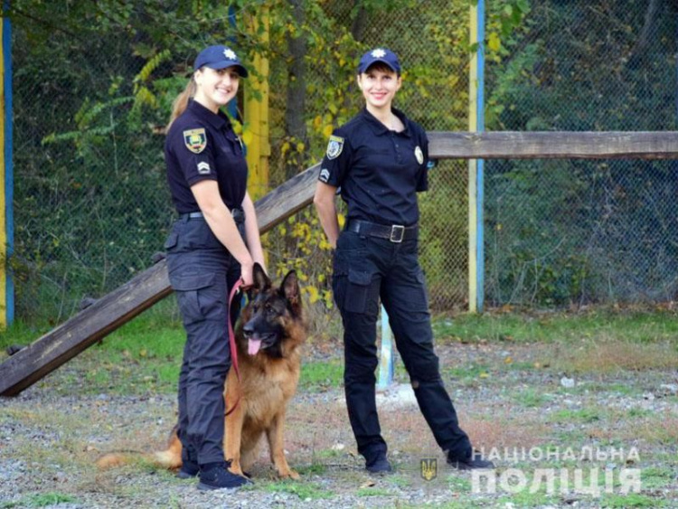 Полицейские собаки с начала года раскрыли на Донетчине около 300 преступлений (ФОТО)