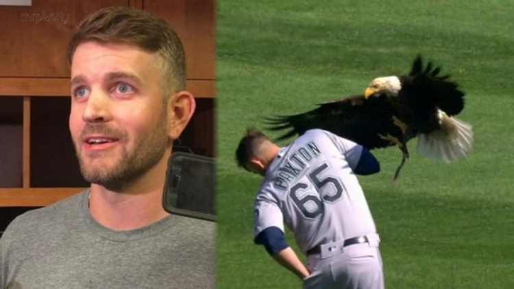 Во время бейсбольного матча на плечо игрока пытался сесть орел (ФОТО+ВИДЕО)