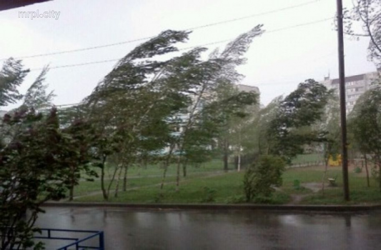 В Мариуполе свирепствует шквальный ветер, на побережье песчаная буря