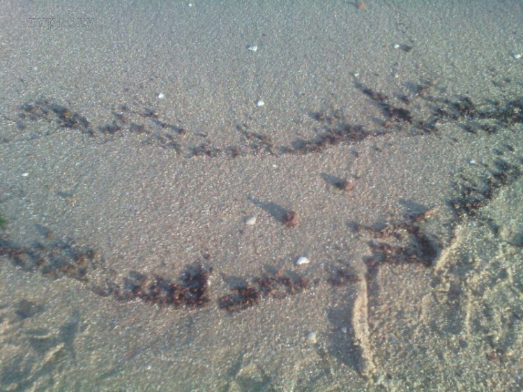 На мариупольском пляже в воде заметили странное пятно (ФОТО+ВИДЕО)