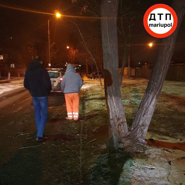 В Мариуполе легковушка влетела в дерево