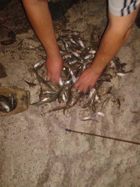 Браконьер в Мариуполе с помощью «паука» наловил рыбы почти на 5 тысяч гривен (ФОТО)