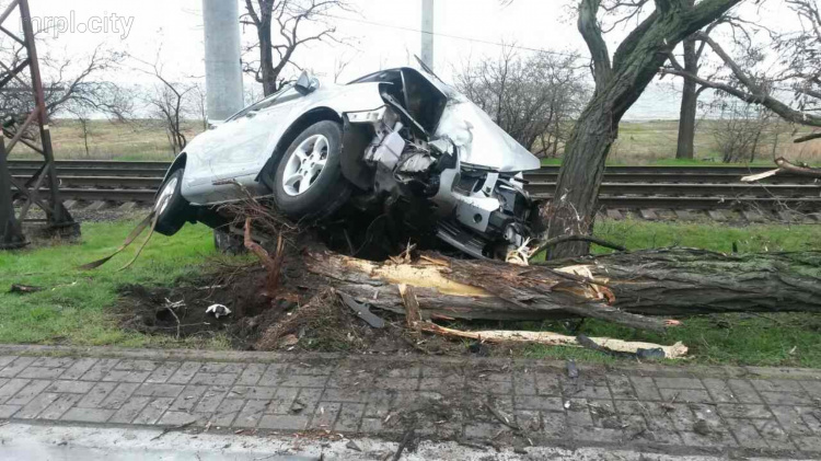 В Приморском районе Мариуполя автомобиль протаранил дерево (ФОТО)