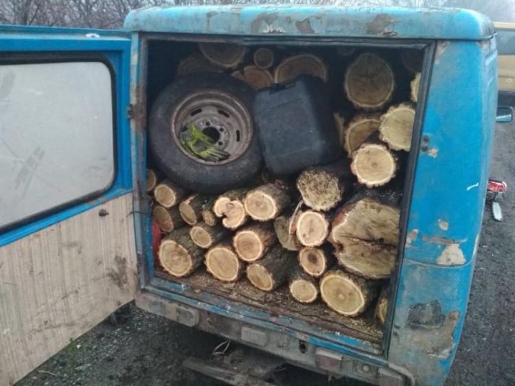 В Донецкой области пограничники прекратили незаконную вырубку лесопосадки (ФОТО)