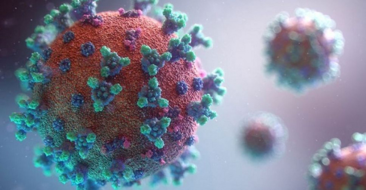 В Украину пришел «британский» коронавирус. В чем опасность мутировавшей инфекции?