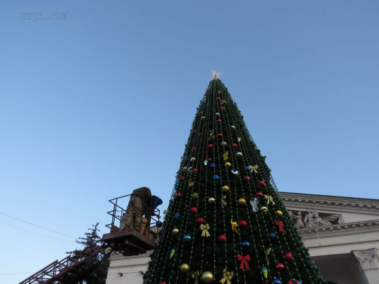 Шоу света и цвета. В Мариуполе зажгли главную новогоднюю елку (ФОТО+ВИДЕО)