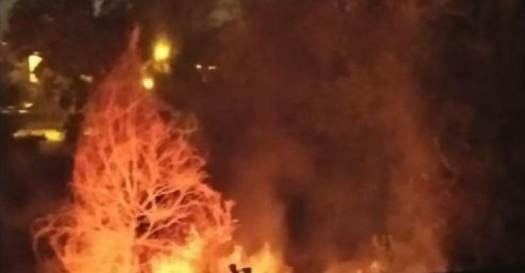 В мариупольском парке Гурова ночью выгорело 300 квадратных метров территории (ФОТО+ВИДЕО)