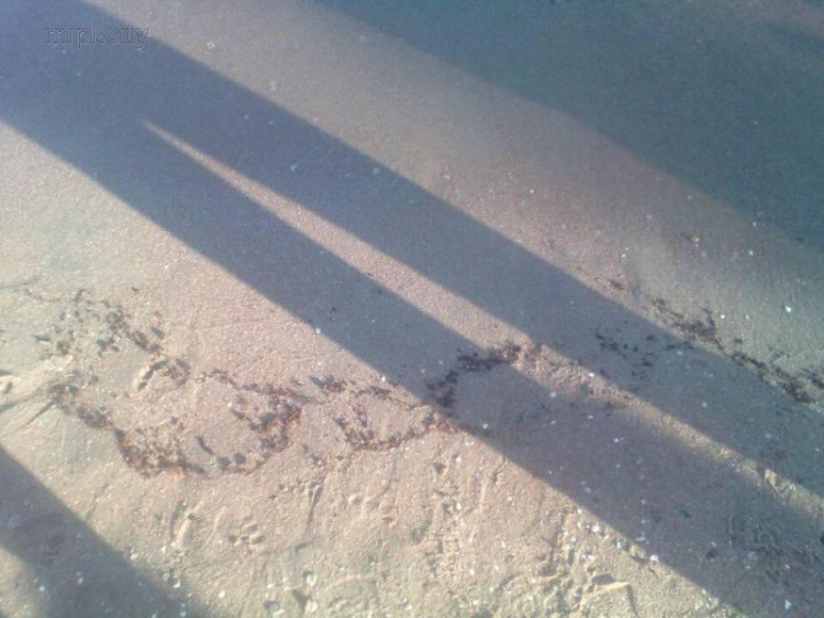 На мариупольском пляже в воде заметили странное пятно (ФОТО+ВИДЕО)