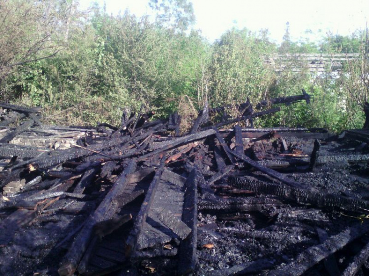 В Мариуполе пожарные два часа боролись с огнем в Приморском парке (ФОТОФАКТ)
