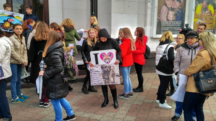 Всеукраинский марш за права животных