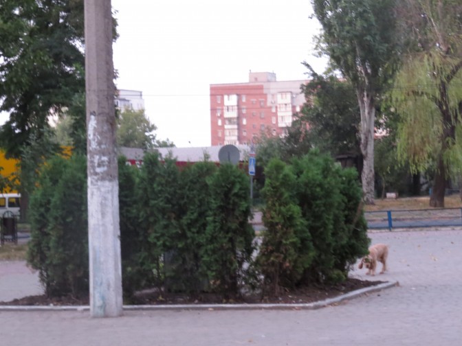 В Мариуполе снесли памятник Апатову (ФОТО)