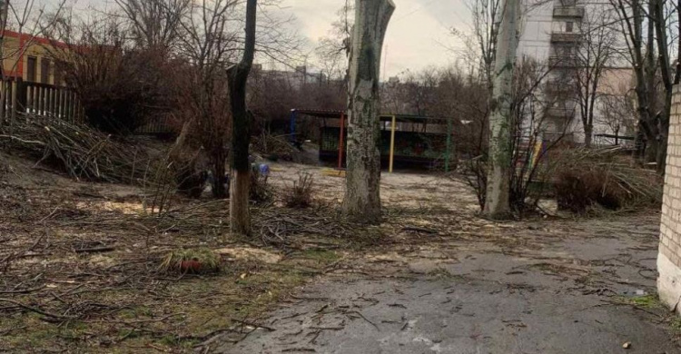 Почему спилили и обрезали деревья на территории детсада в Мариуполе?