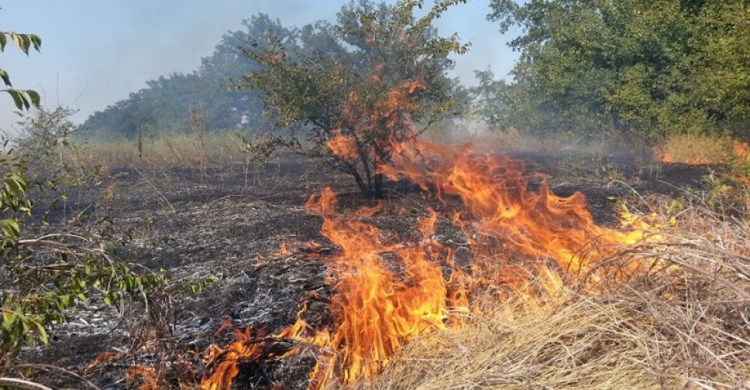 Пожары вокруг Мариуполя оставили пепелище в два гектара (ФОТО)