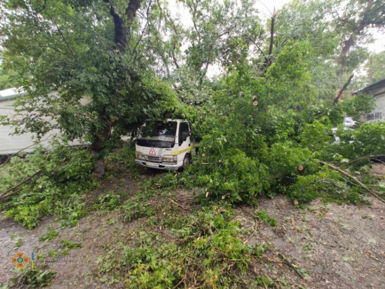 Сильный ливень с ураганом обрушился на Донетчину. Повалены деревья и сорваны крыши