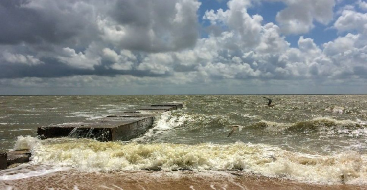 В Мариуполе ветер поднимет на море волны: о погоде на ближайшие дни
