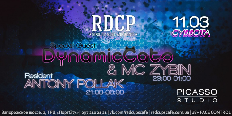 Dynamic Cats/ Mc Zybin. RD CP