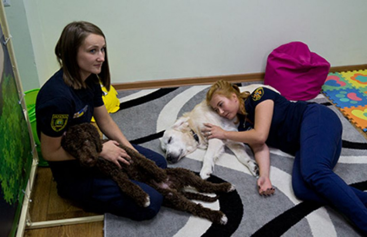 В Мариуполе собаки ходят на работу, делают массаж и помогают пережить стресс (ФОТО)