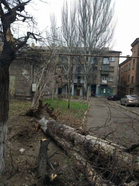 Поваленные деревья и сорванные электропровода: в  Мариуполе штормовой ветер «набирает обороты»