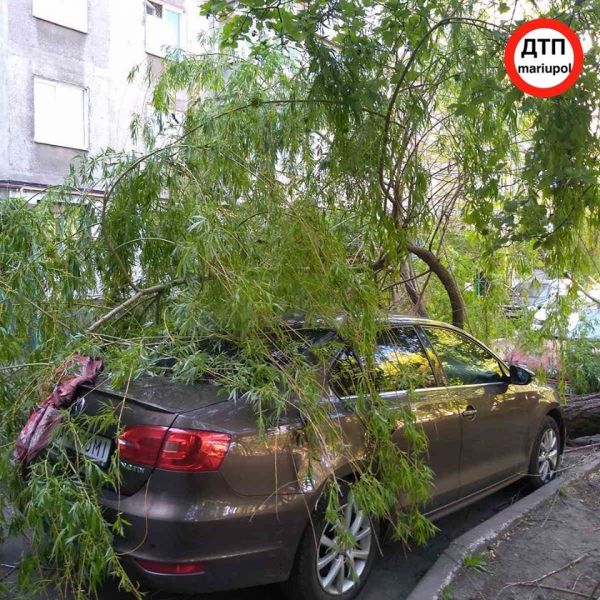 ДТП и падение дерева: в Мариуполе пострадали 5 автомобилей (ФОТО)