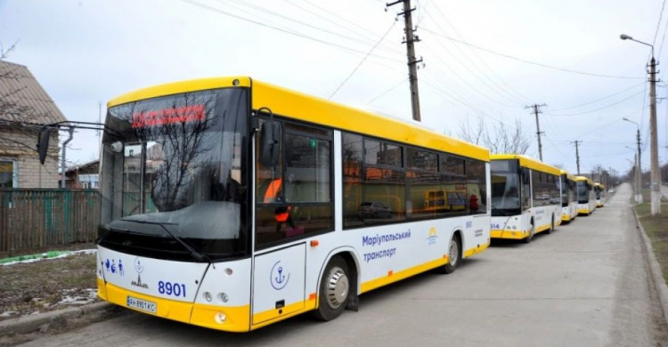 Новые автобусы, табло и номинации: о транспортных достижениях года в Мариуполе