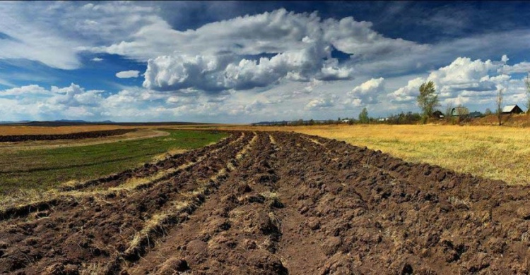 Дельцы из «ДНР» хотели завладеть землей на 250 млн гривен