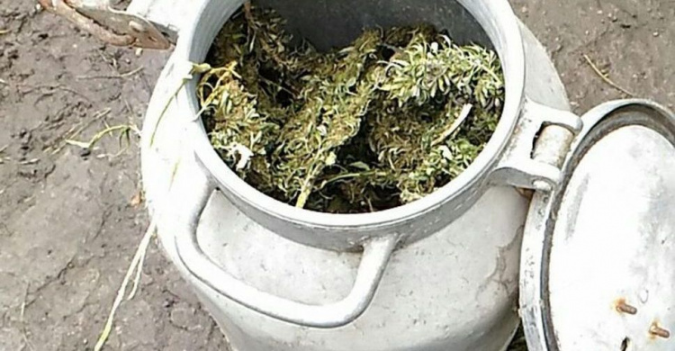 Наркокартель во дворе дома: у мариупольца изъяли марихуаны на 300 тысяч гривен (ФОТО)