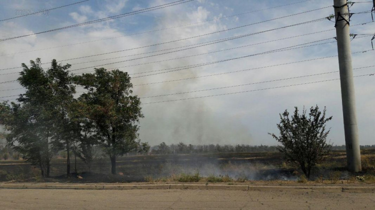 На окраинах Мариуполя горят поля. Огонь приблизился к домам и школе (ФОТО+ВИДЕО)