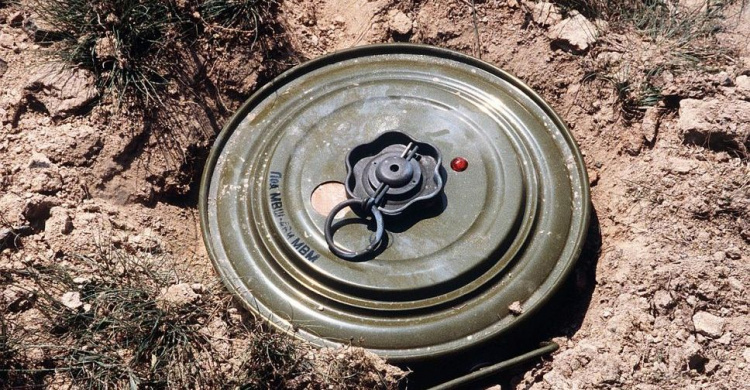 Неудачная находка: мариуполец обнаружил возле своего сарая мину и гранату