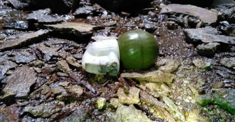 В подвале мариупольской «заброшки» нашли гранату (ФОТО)
