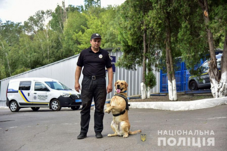 Служебные собаки помогли полицейским Донетчины с начала года раскрыть около 300 преступлений