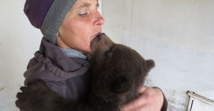  Мариупольский медвежонок продемонстрировал долгий поцелуй и любовь к конным прогулкам (ФОТО+ВИДЕО)