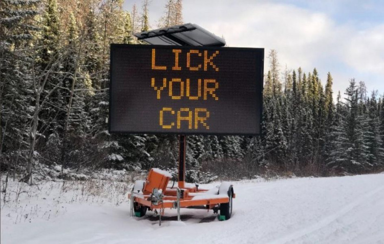 «Не дай лосю облизать твою машину»: в Канаде установили необычные щиты вдоль дорог