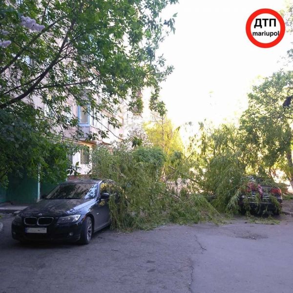 ДТП и падение дерева: в Мариуполе пострадали 5 автомобилей (ФОТО)