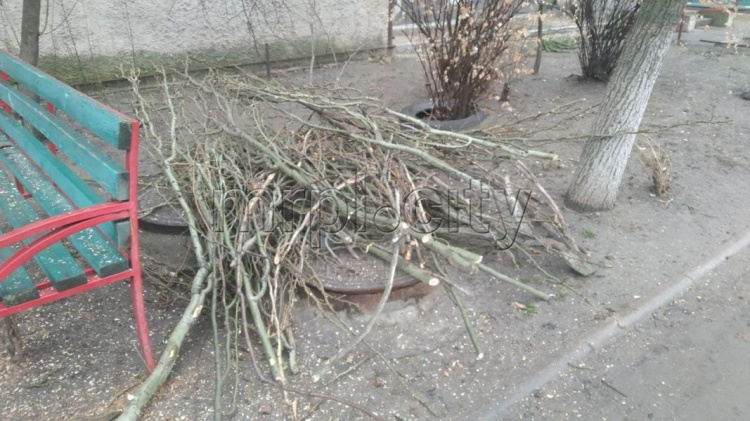 На мариупольском проспекте обрезали кроны деревьев, оставив одни стволы (ФОТОФАКТ)