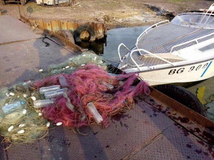 В Мариуполе из запрещенных сетей спасли краснокнижную рыбу почти за 50 тысяч гривен (ФОТО+ВИДЕО)