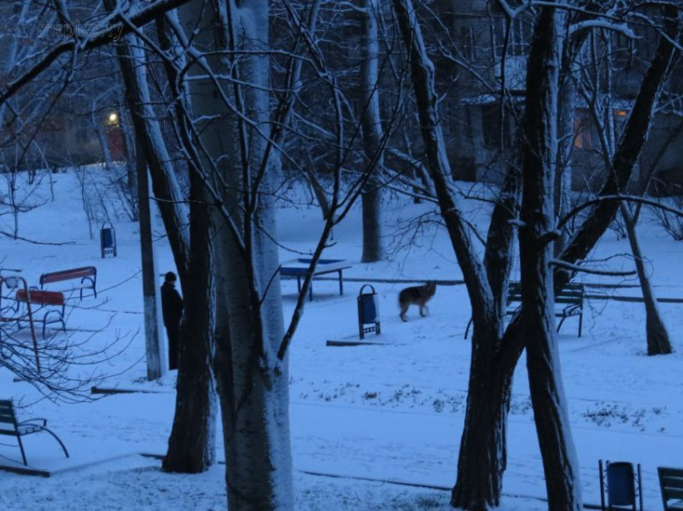 Мариуполь преобразился в новогоднюю сказку, укрывшись снегом (ФОТОФАКТ+ВИДЕО) 