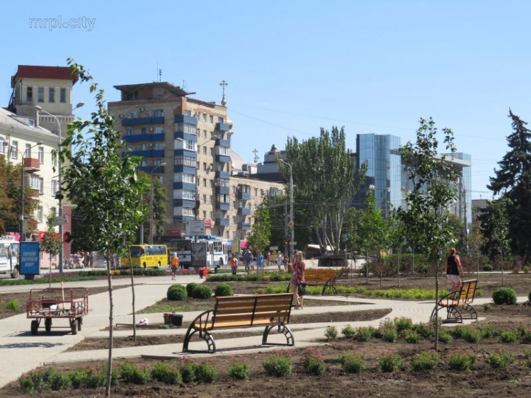 Остановленное Антимонопольным комитетом озеленение площади Мариуполя продолжилось (ФОТОФАКТ)