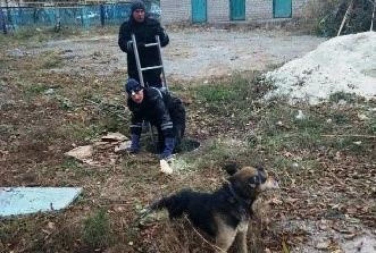 Мариупольские спасатели вызволяли собаку из колодца