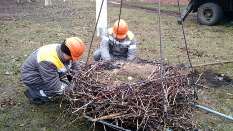 ДТЭК «вьет гнезда» для аистов Донбасса (ФОТО)