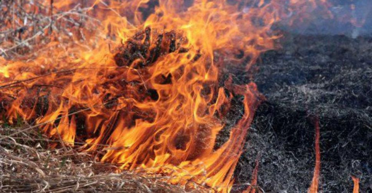 Мариупольцев будут наказывать за сжигание мусора