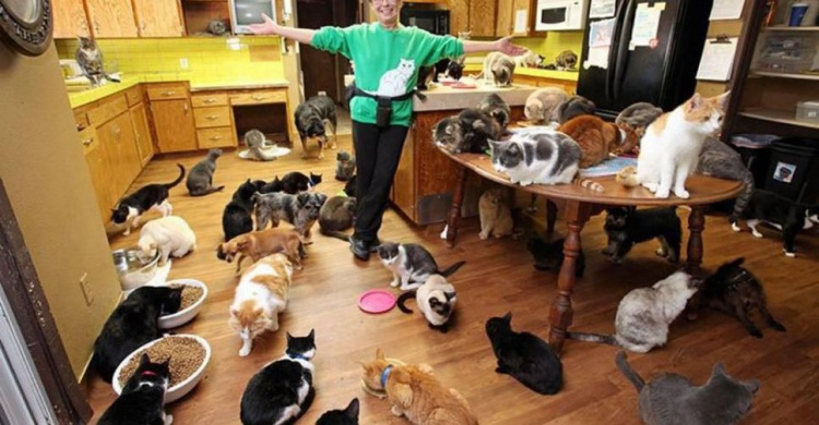 Более 10 кошек и собаки: в доме мариупольчанки обнаружили 