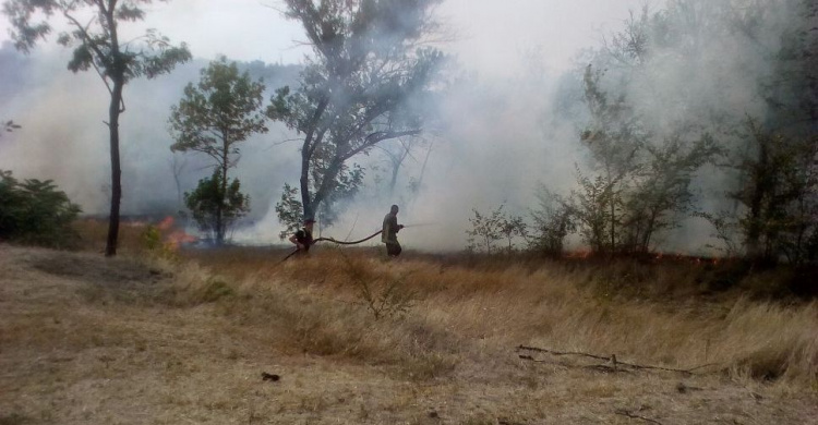 «Последствия пожара впечатляют». В Мариуполе горел парк Лепорского (ФОТО+ВИДЕО)