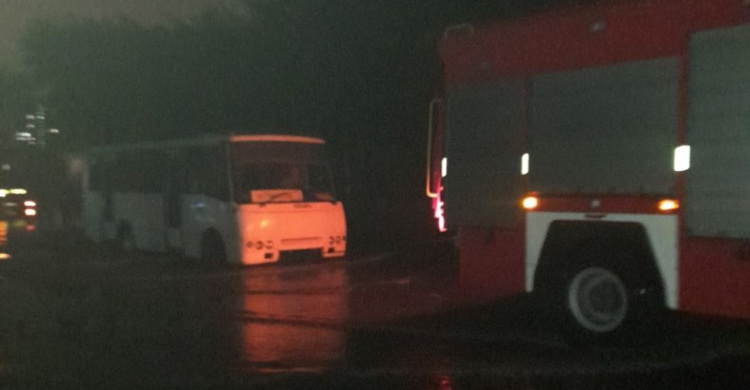 Молния жгла и валила деревья, автобус застрял в луже – мариупольские спасатели устраняют последствия непогоды