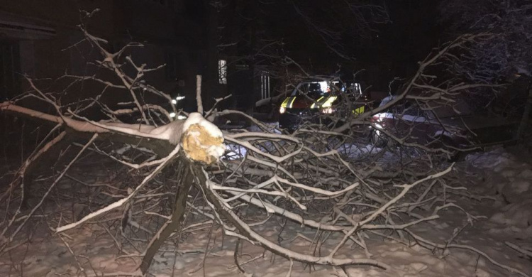 На Донетчине непогода повалила десятки деревьев и затопила постройки (ФОТО)
