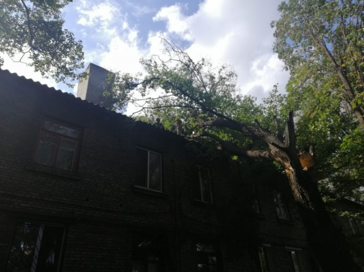 Непогода в Мариуполе: восемь спасателей ликвидировали упавшее на двухэтажный дом дерево (ФОТО)