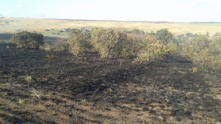 В Донецкой области ликвидирован масштабный пожар в степи и лесу