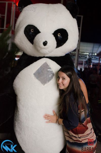 Big panda Show. BarBaris