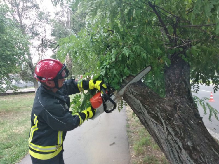 Непогода в Мариуполе: восемь спасателей ликвидировали упавшее на двухэтажный дом дерево (ФОТО)
